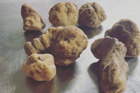Fresco fresco anzi freschissimo il nostro pregiatissimo tartufo bianco del bosco…