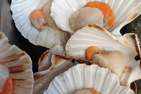 Questa è solo una piccola parte del nostro pescato che giornalmente lavoriamo pe…